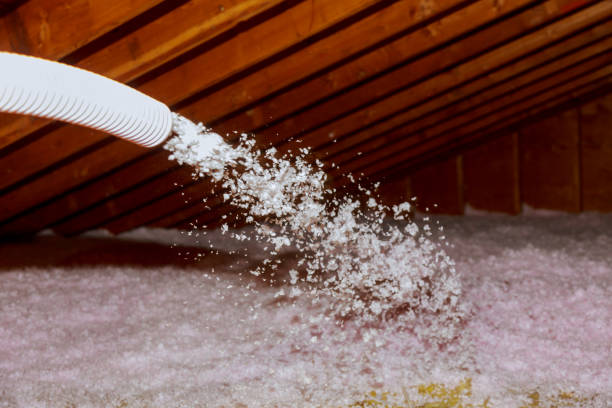 Best Specialty Insulation in San Buenaventura, CA