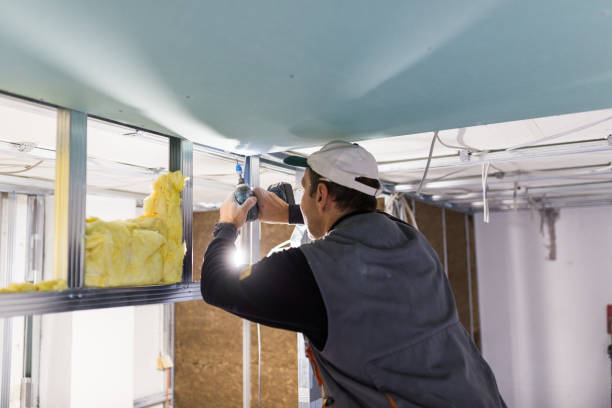 Best Energy Efficiency Solutions in San Buenaventura, CA