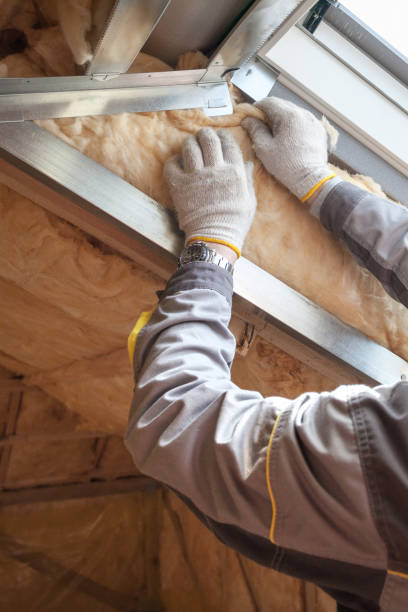 Best Insulation Maintenance and Repair in San Buenaventura, CA