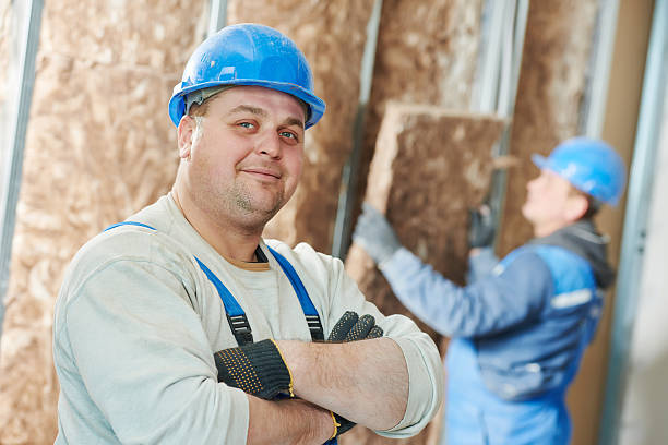 Best Insulation Installation Services in San Buenaventura, CA
